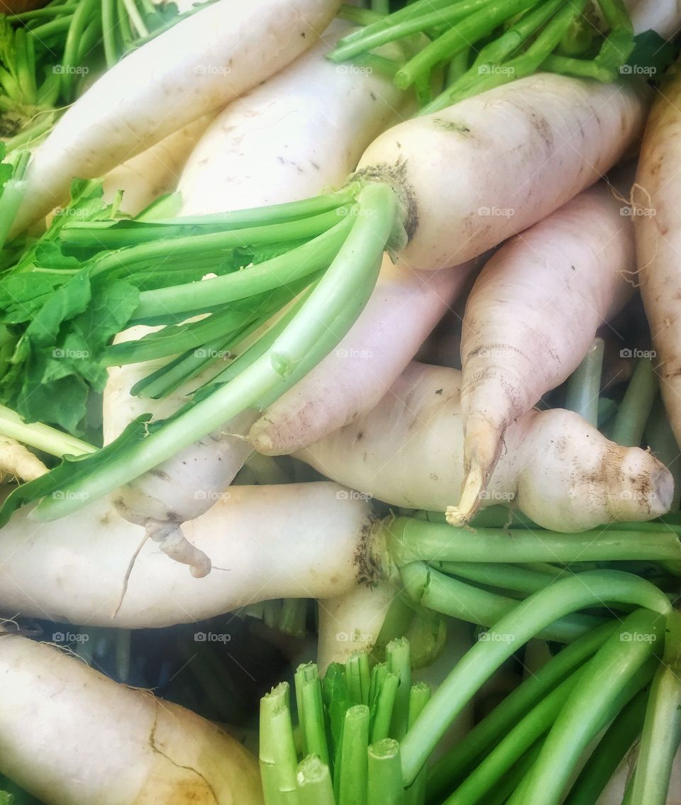 Fresh turnips 