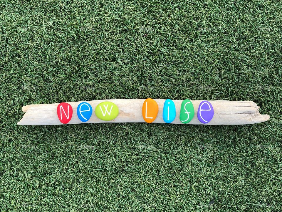 New life text with colored stones on a piece of wood and grass background