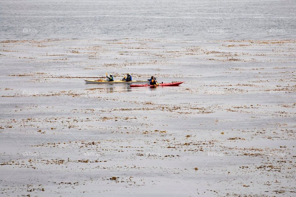 Kayaking on the ocean