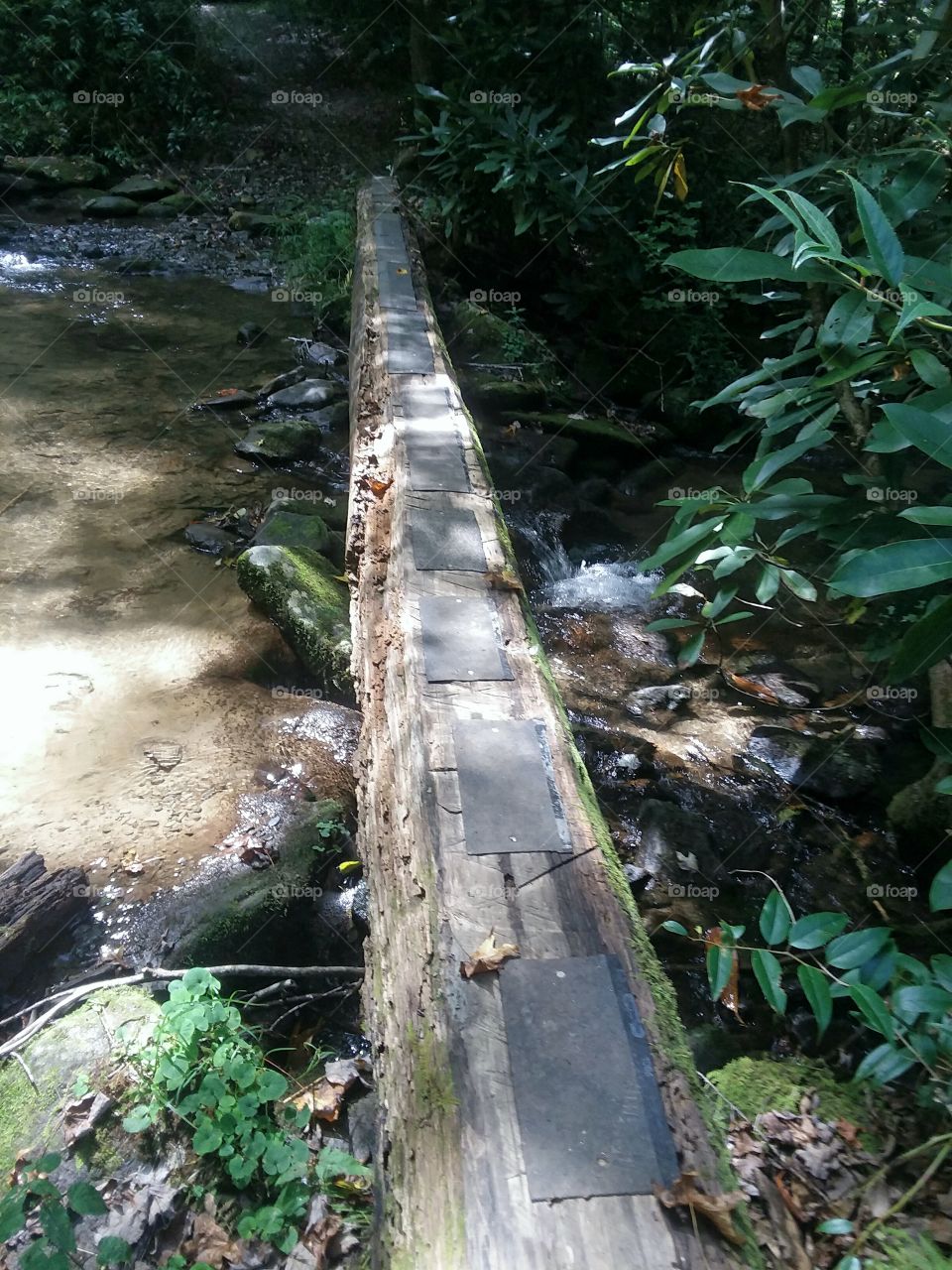 Footbridge over stream