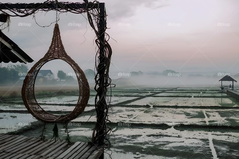 Swing, rice field view in the countryside