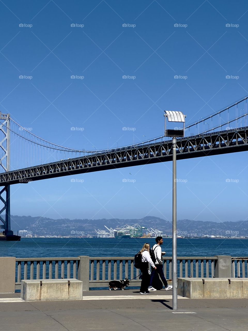 take a walk by the water with your dog.