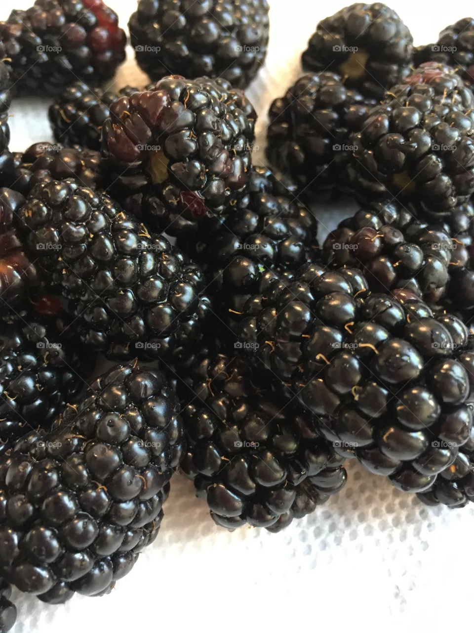 Fruit