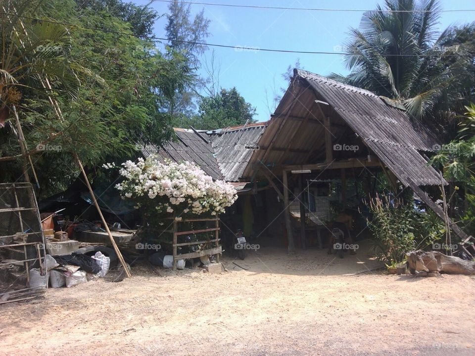 Деревня в джунглях Таиланда