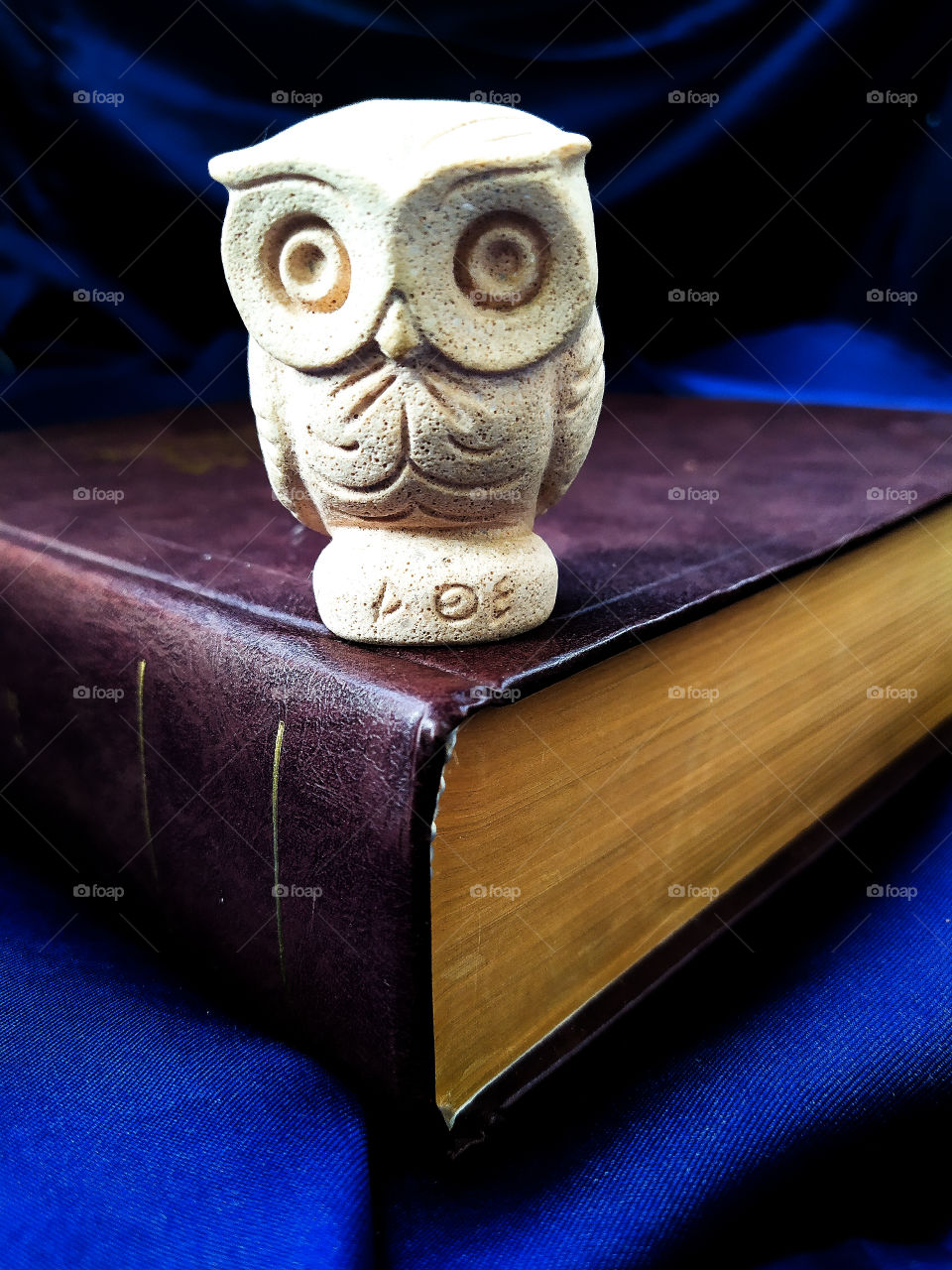 Owl symbol of knowledge