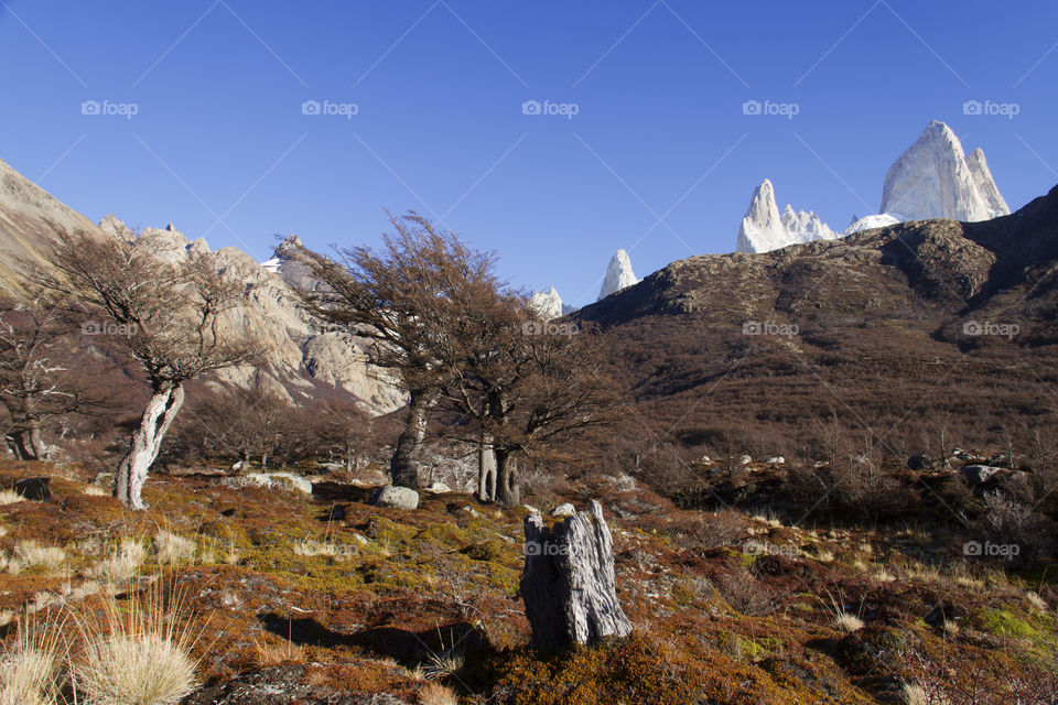 Mountain Fitz Roy in Patagonia Argentina.