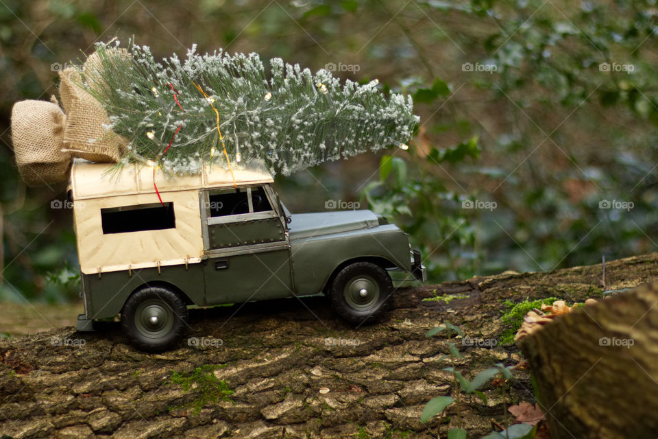 LandRover with Christmas tree travelling through woods