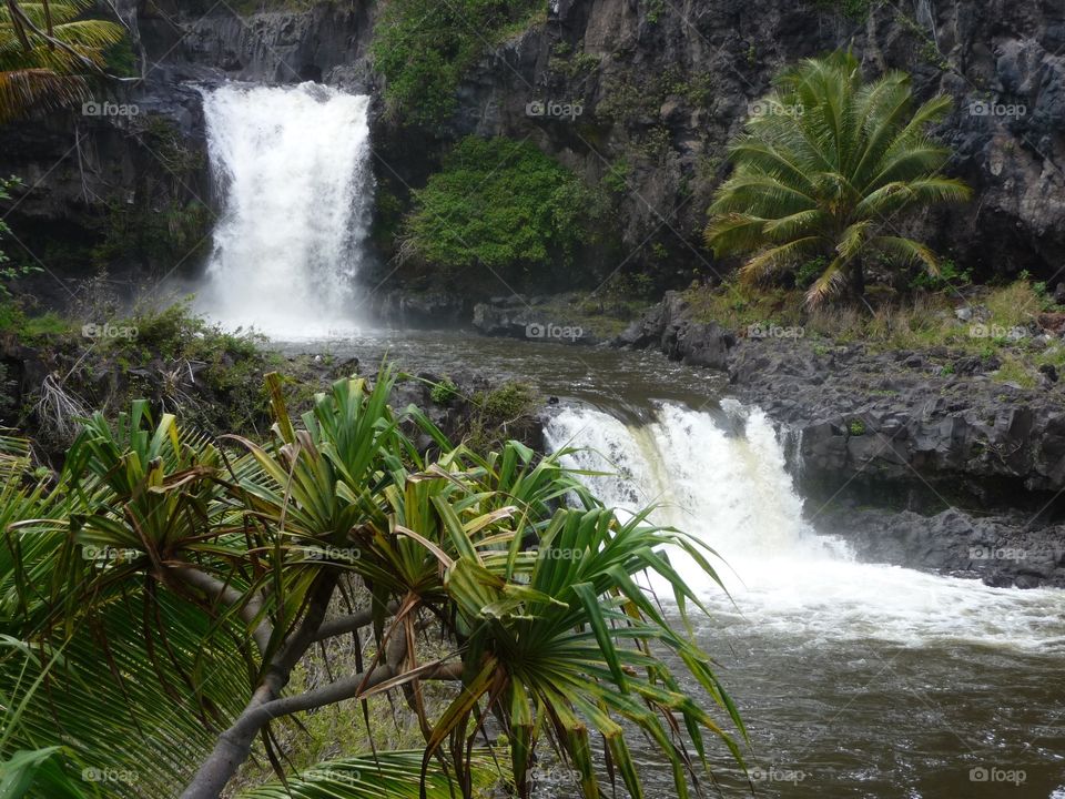 Maui, Hawaii 