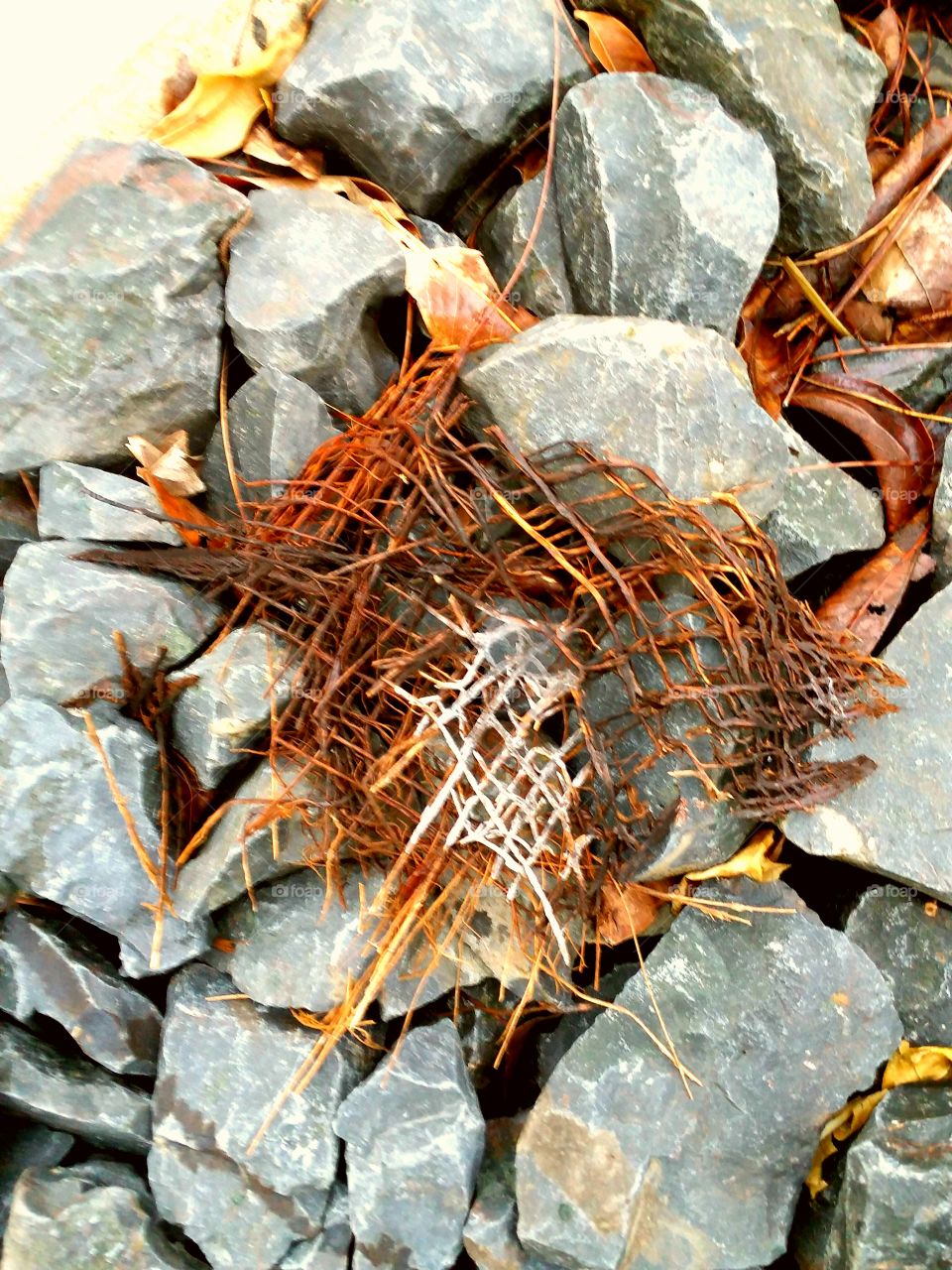 natural net