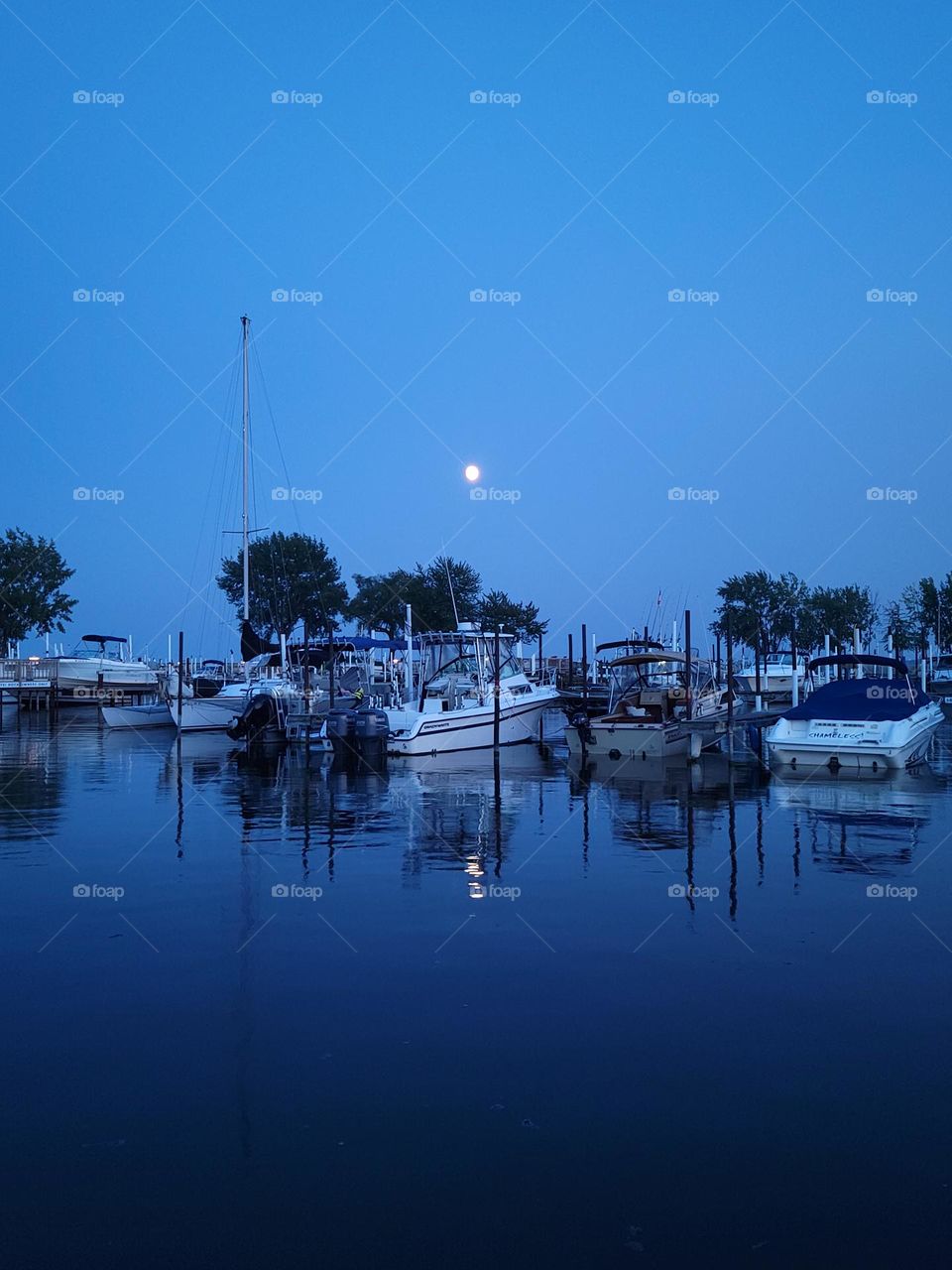 Moon Over the Marina