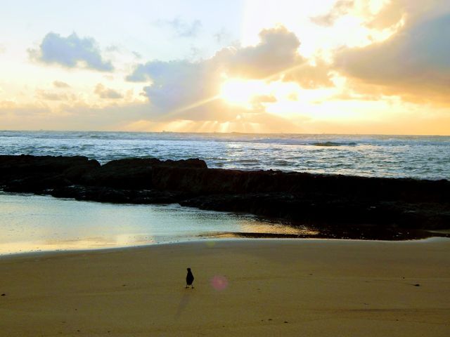 Beautiful sunrise with a little companion