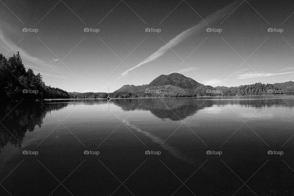 Black and White Canadian Landscape 