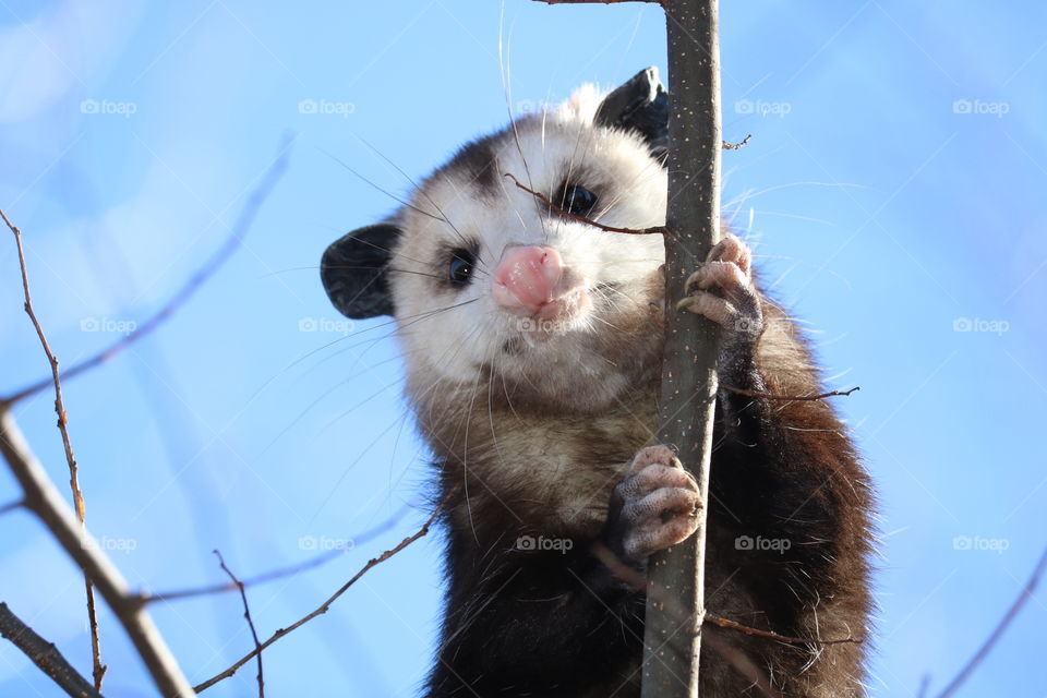 Just hanging around.