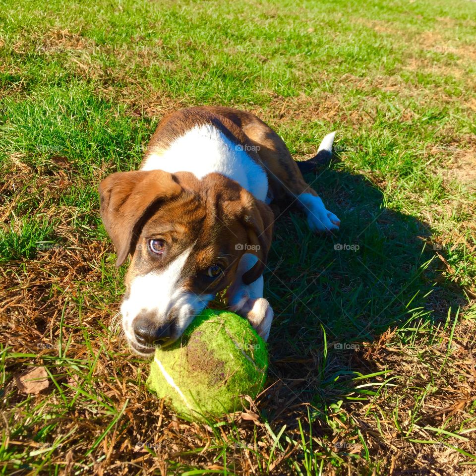That ball's bigger than his head!!!