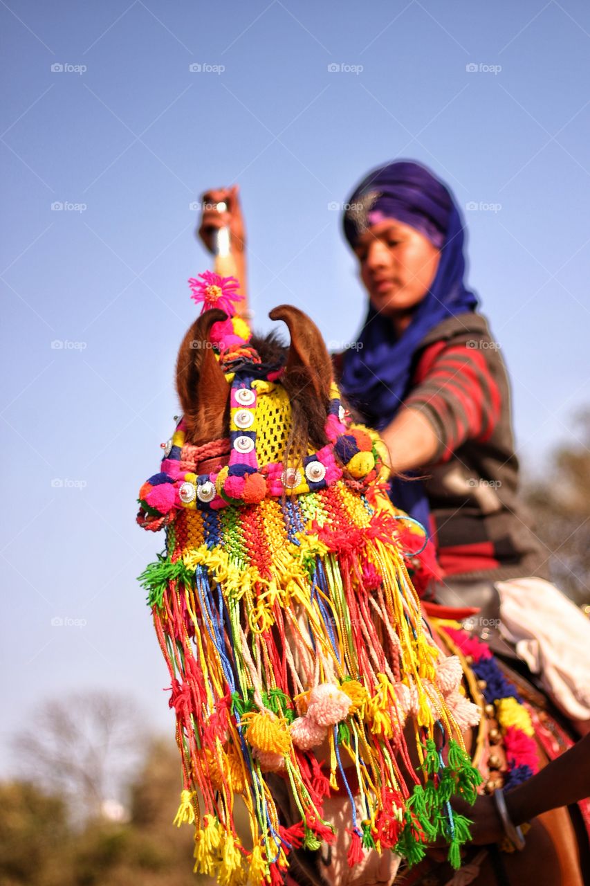 Person riding decorative horse