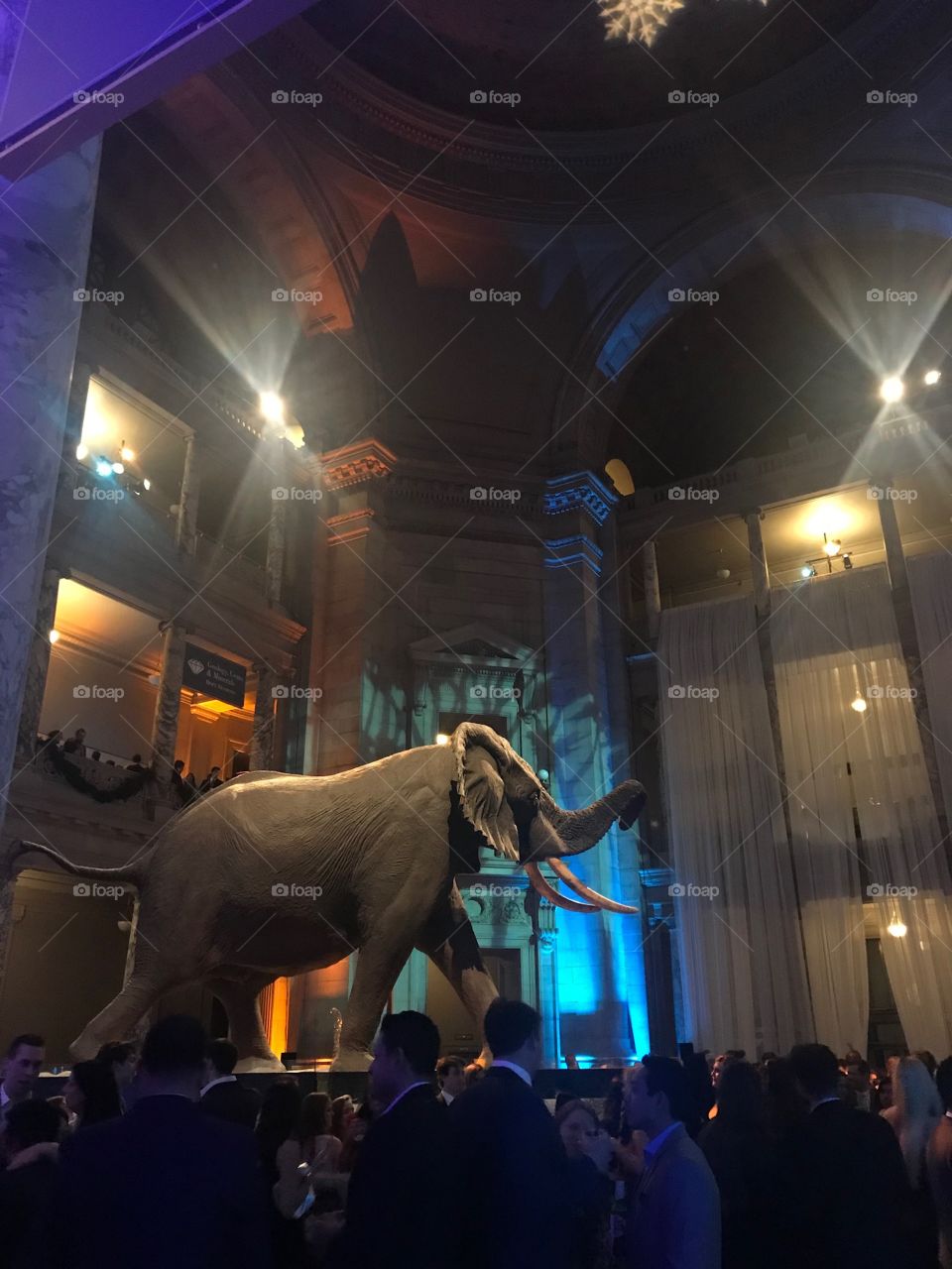 Night at the Museum 