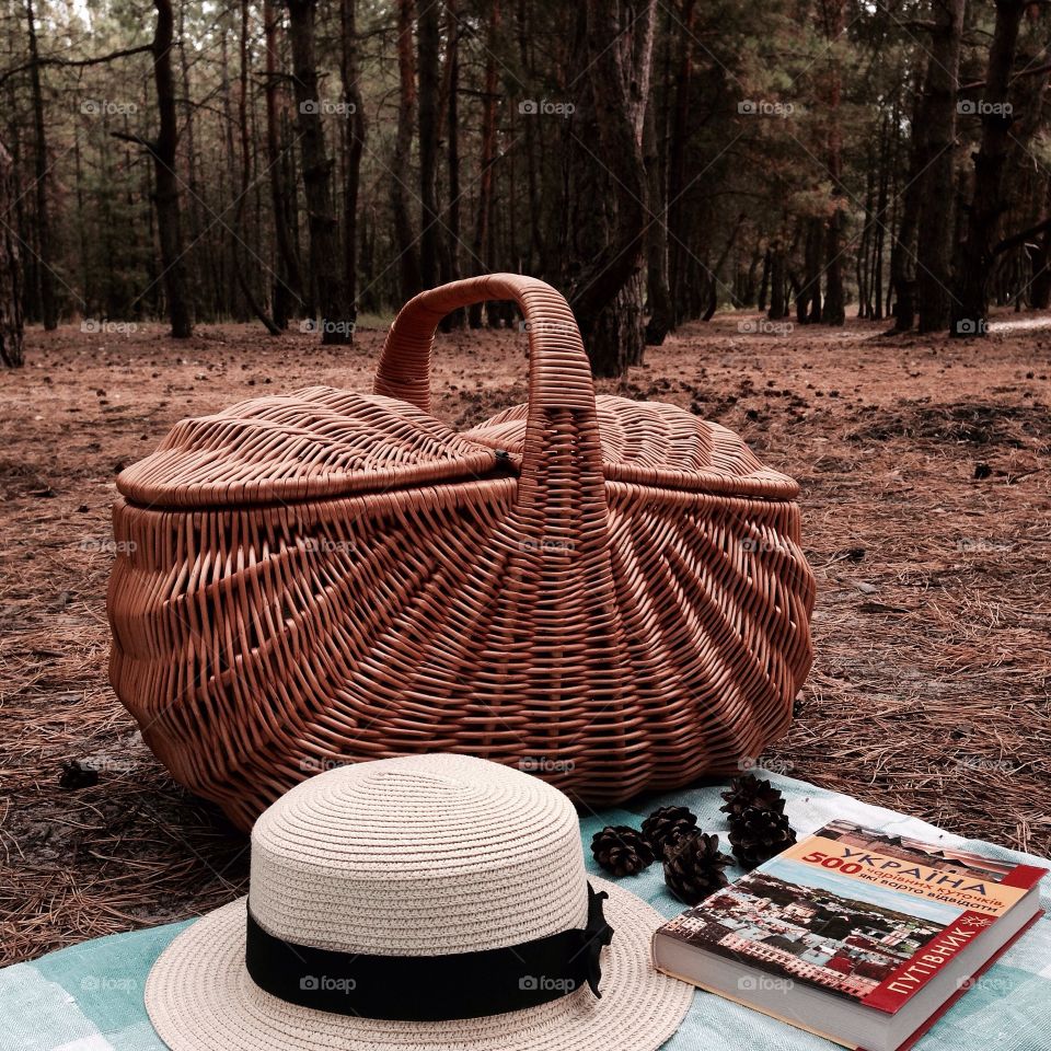 Picnic in forest
