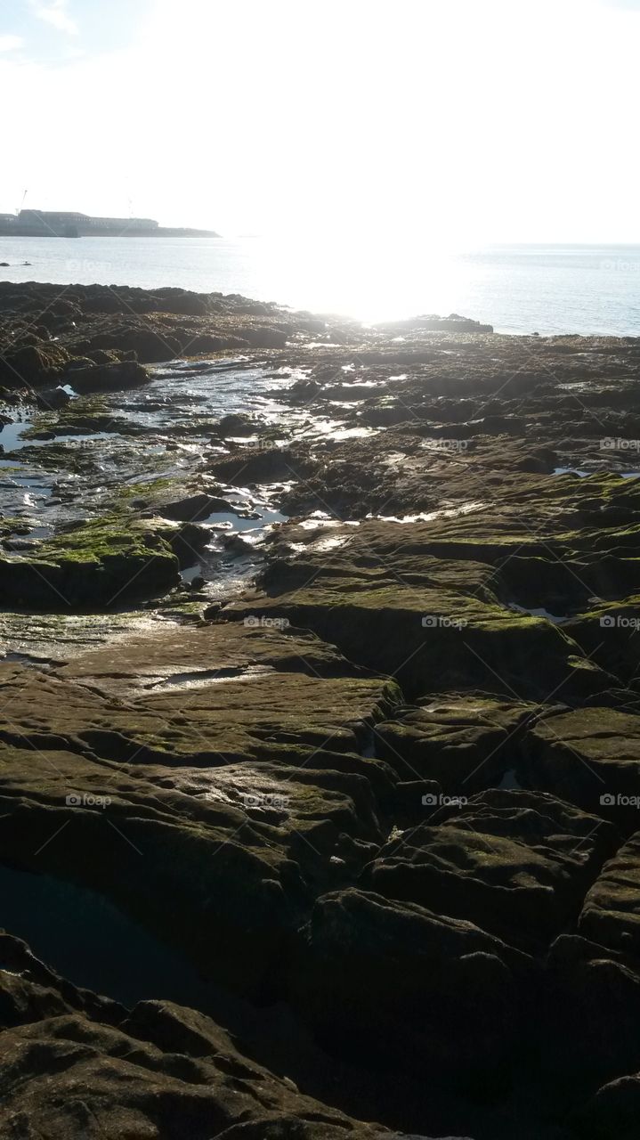 The sun hitting the wet puddles created within the rocky shore of England