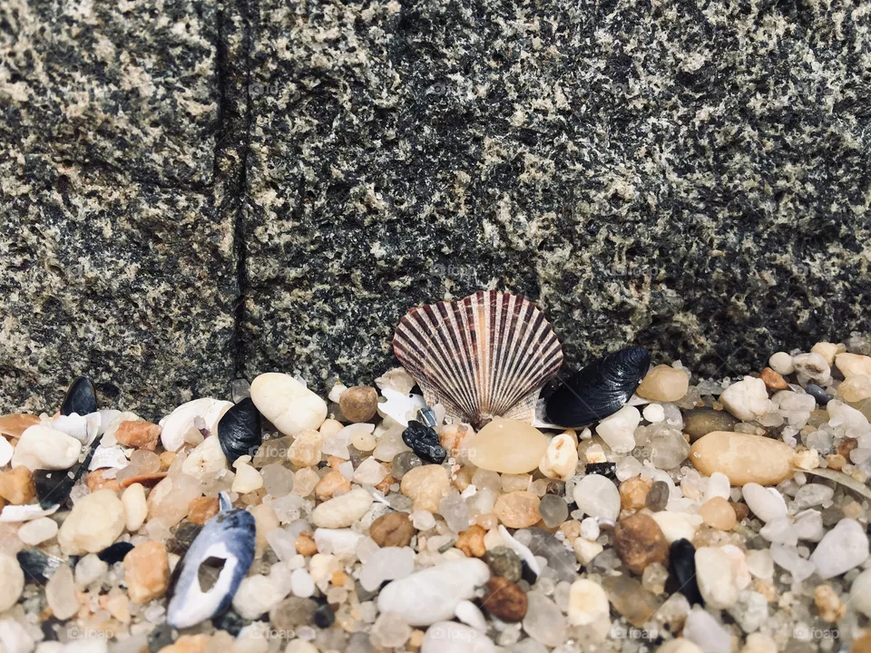 exploring the sand
