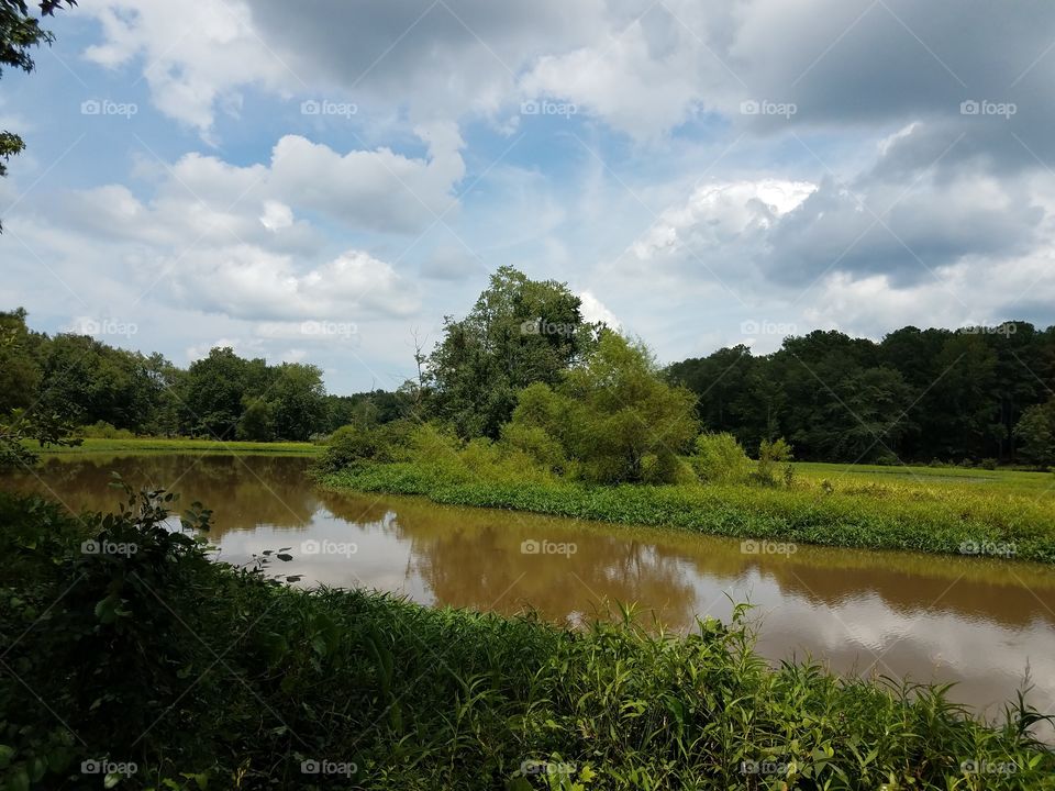 River in the marsh