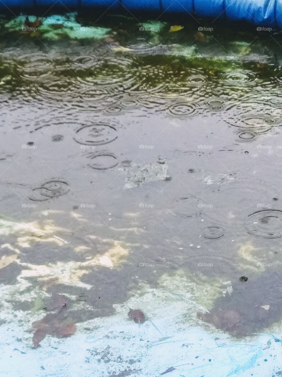 rain in a pool