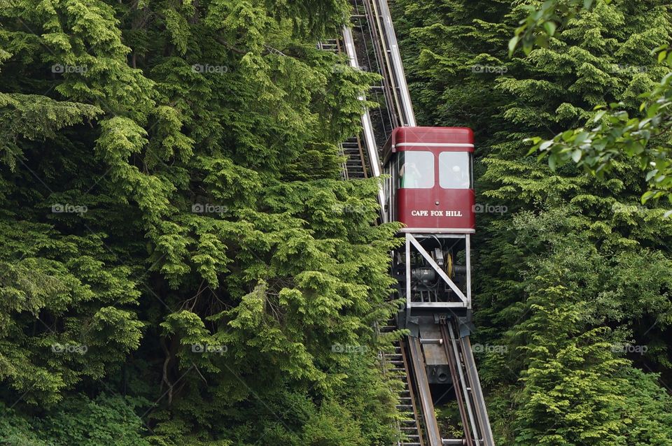 Red tram car rising on tracks through the forest.  Alaska.