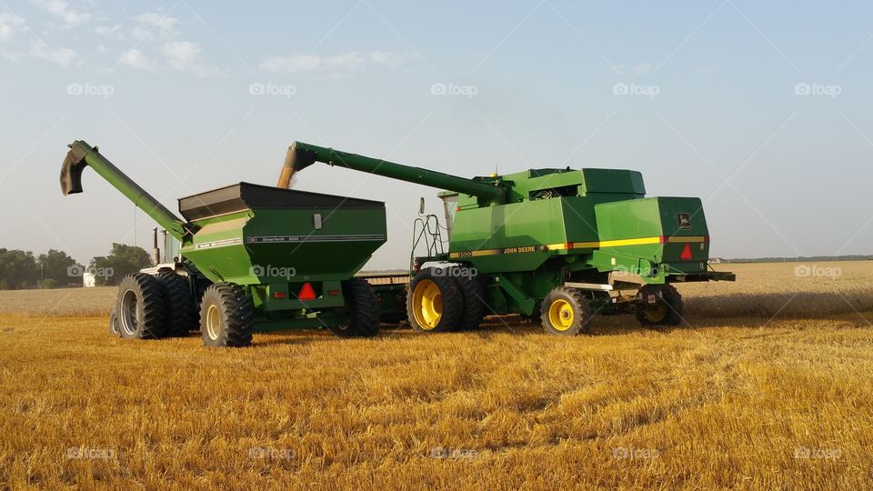 Kansas wheat. harvest in full speed ahead