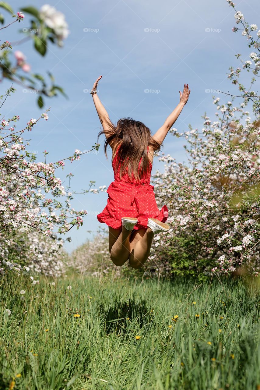 beautiful woman in spring blossom trees