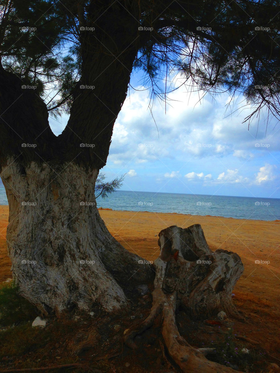 The beautiful beach in Kreta