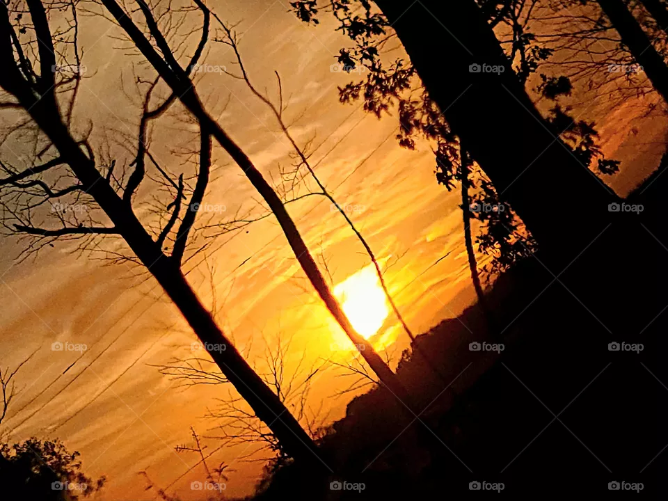 Orange Sunset