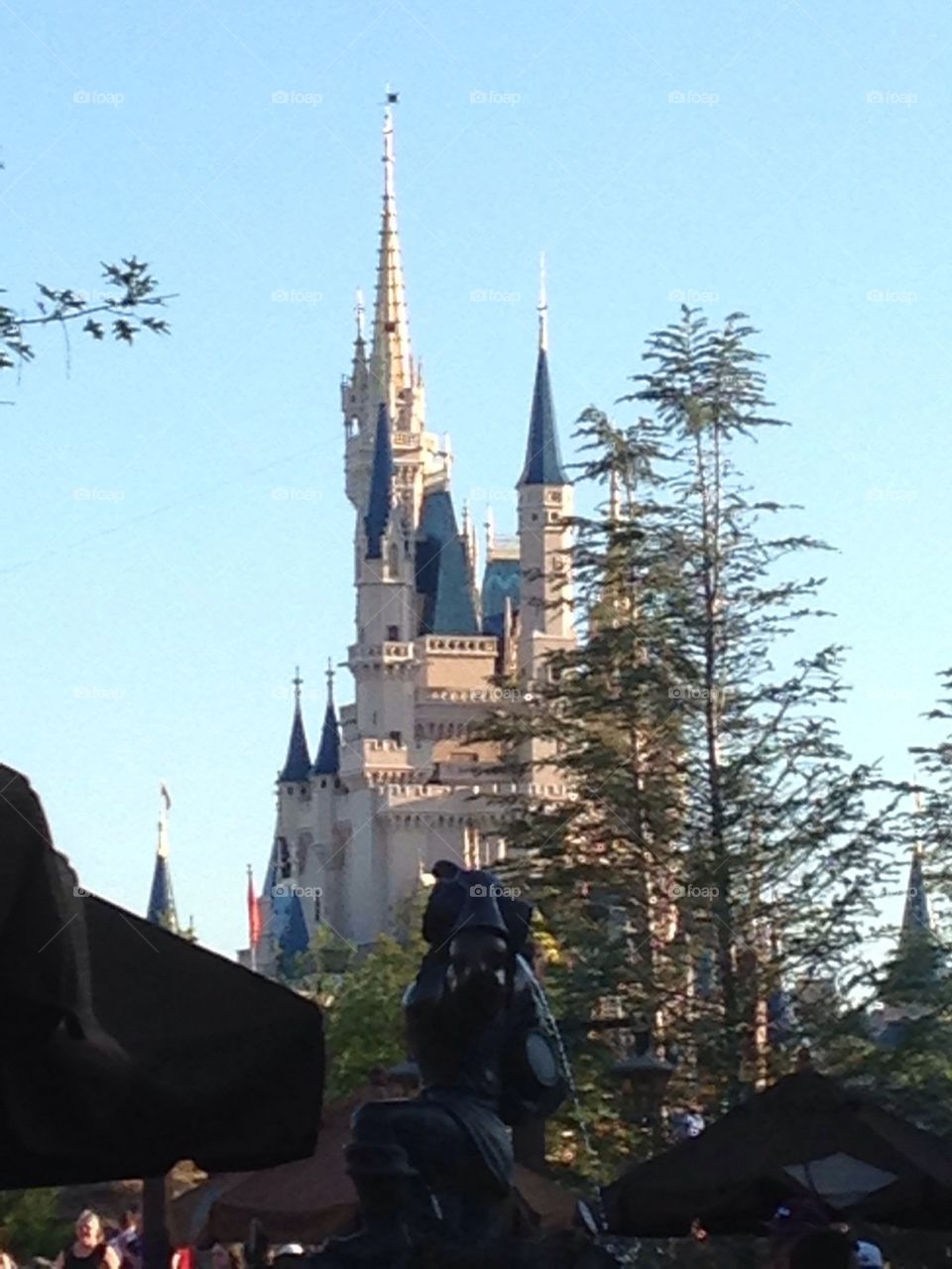 Cinderella castle