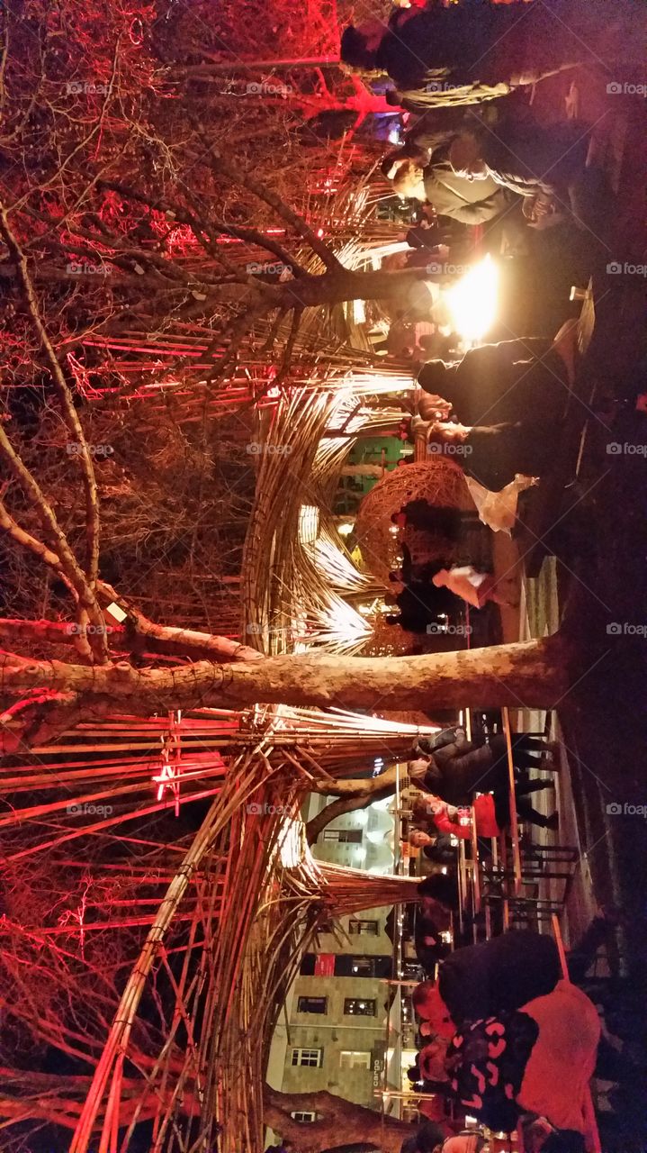 Dark MOFO. the last night of the winter dark MOFO festival in Hobart in June