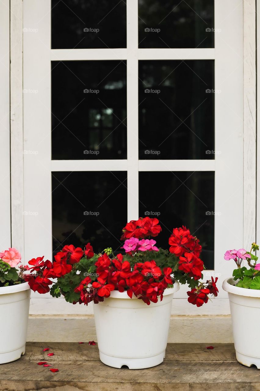 Flower decoration, outer window decorated with flowers during spring.