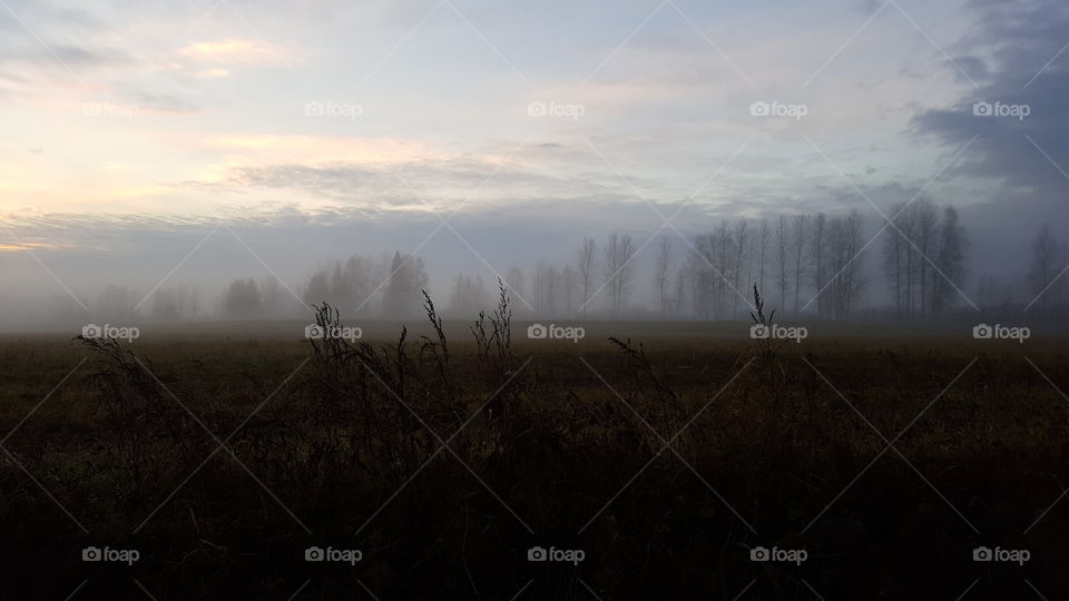 Fog, Mist, Landscape, Dawn, Sunset