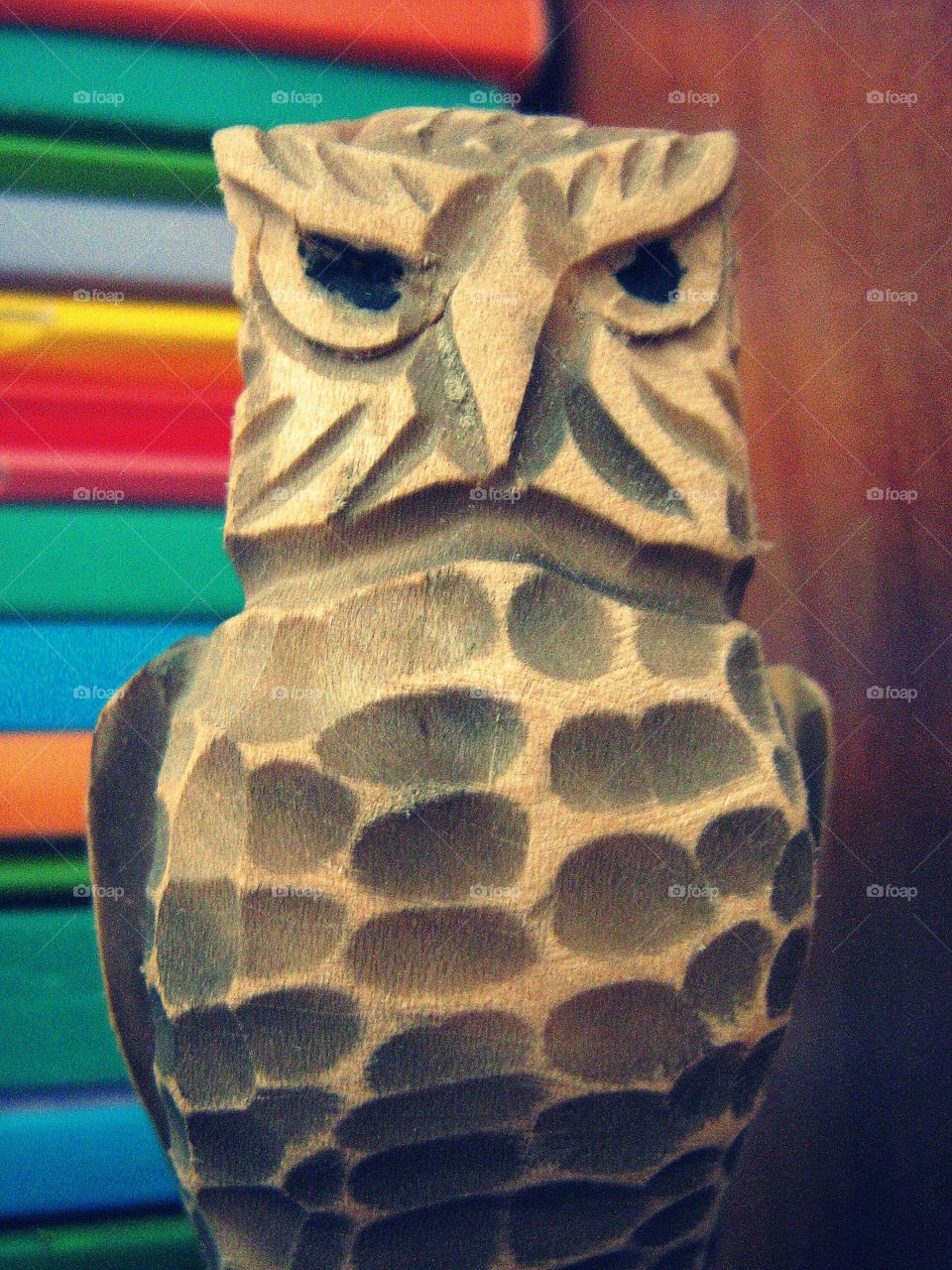 owl