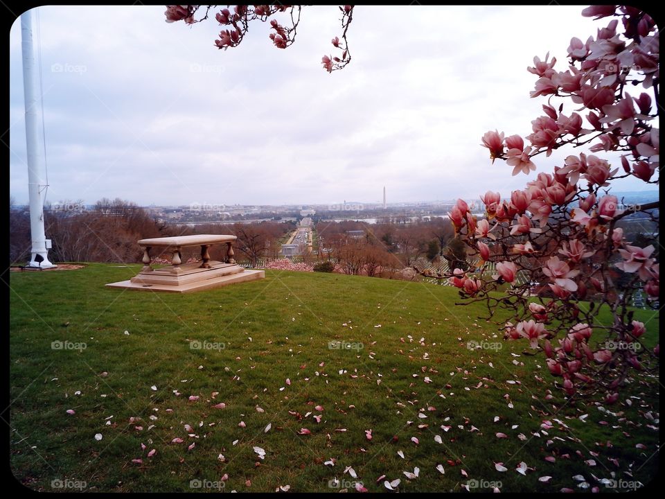Arlington overlooking D.C. 