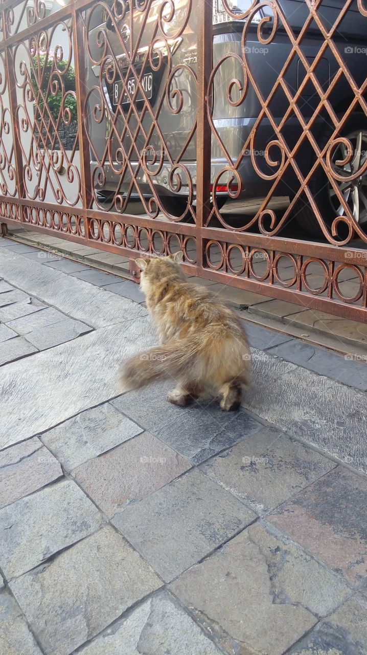 it is time to inside soon