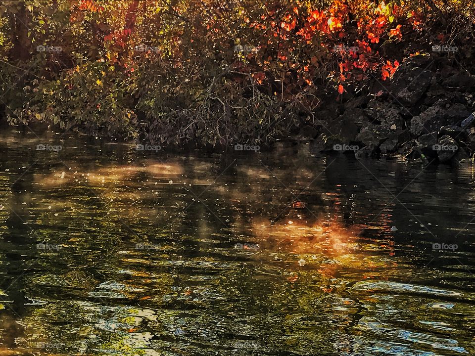 Erie Canal shoreline