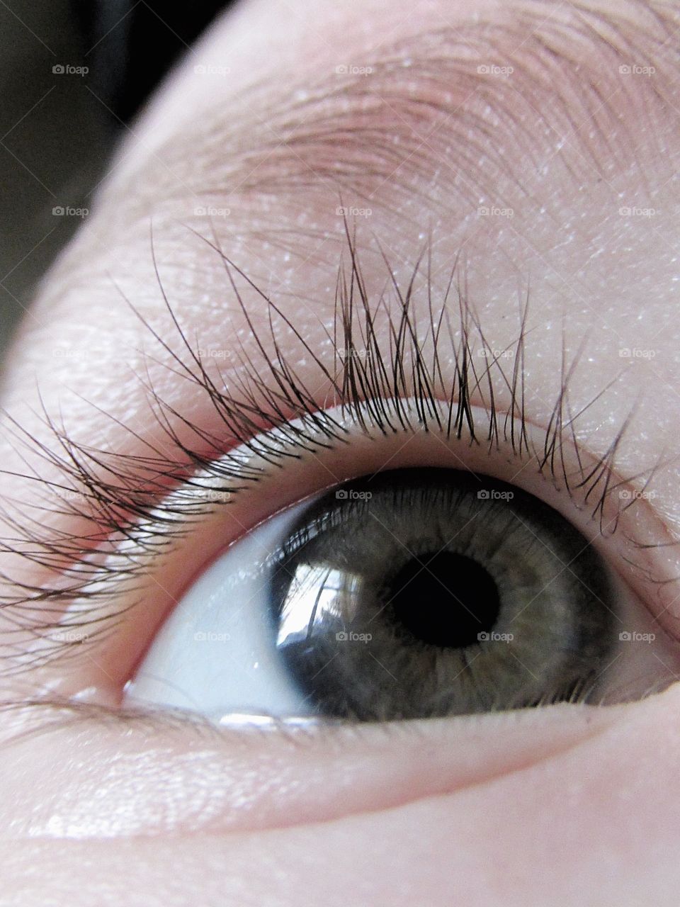 A closeup of a green eye.