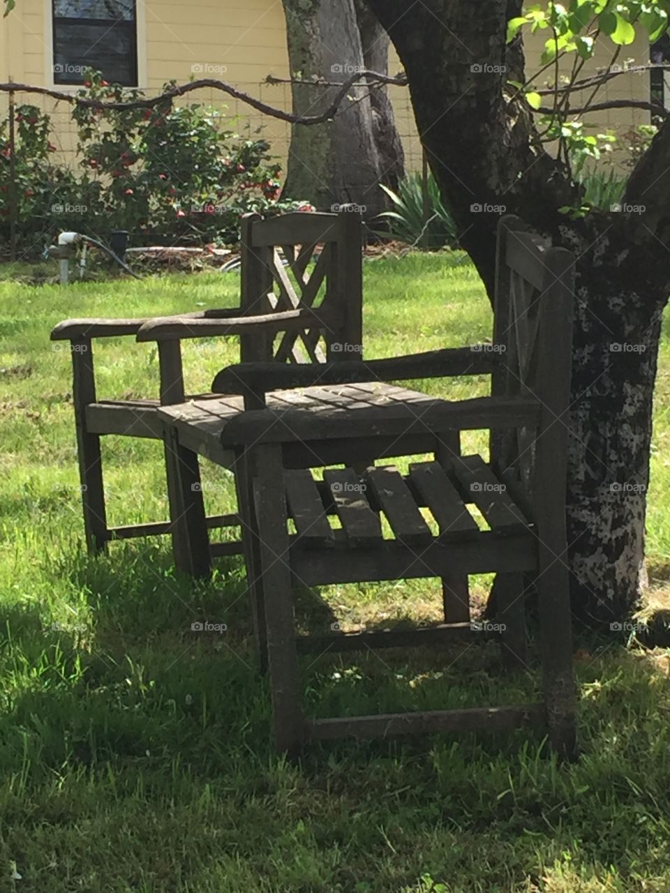 Wood, Bench, Seat, No Person, Garden
