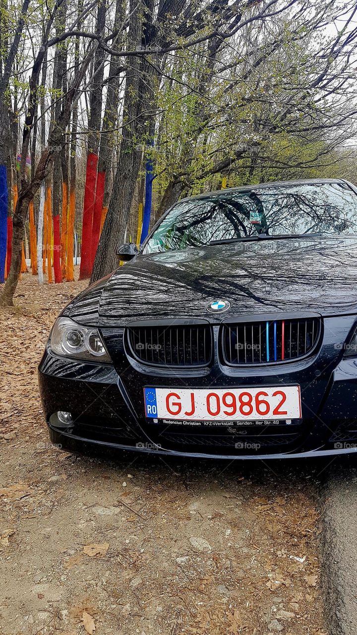 my car, my soul at the colored forest