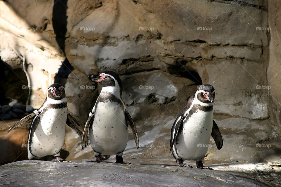 ocean happy white black by hlehnerer