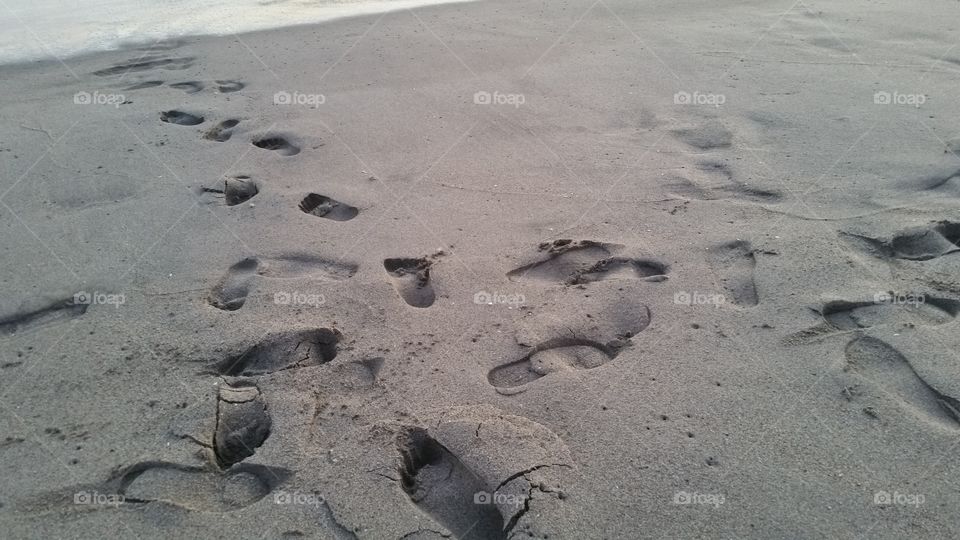 Sand, Beach, Seashore, No Person, Footprint