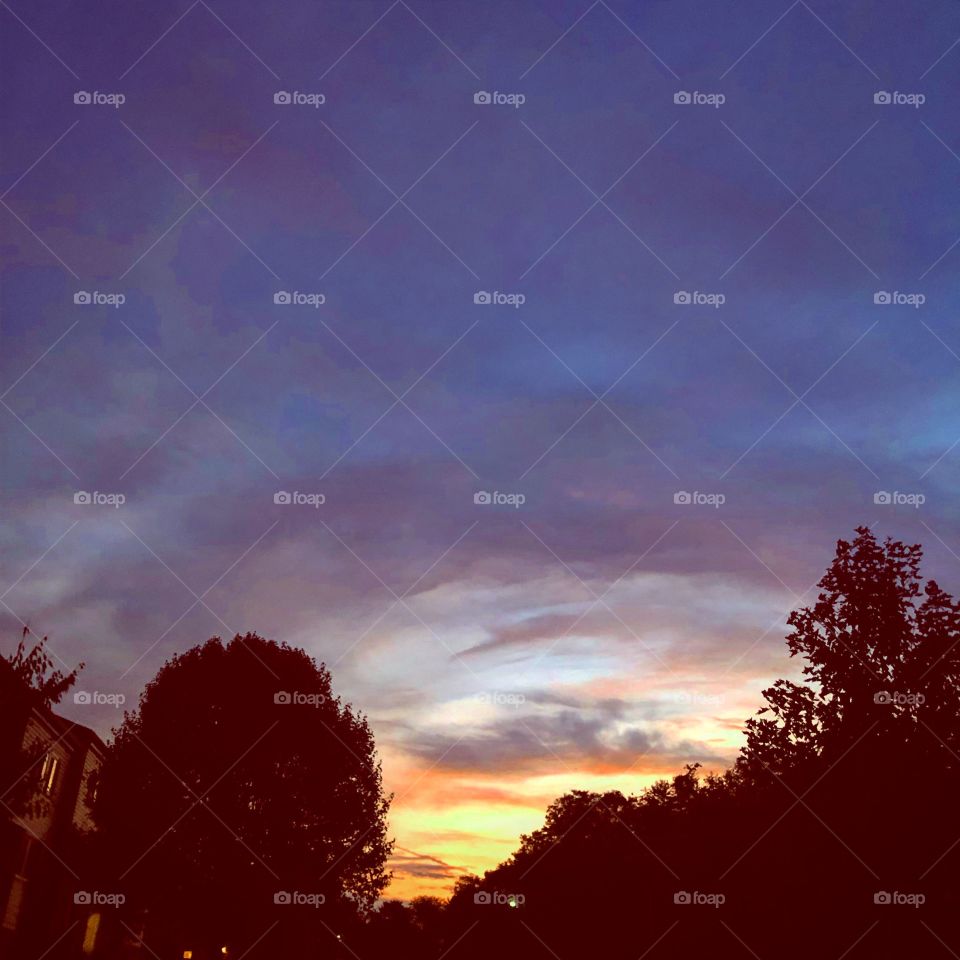 Sunsetting pretty sky & trees September evening 