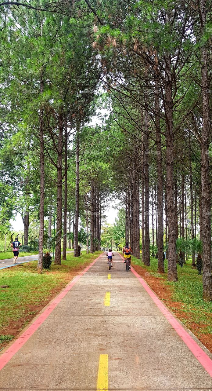 Parque da Cidade - Jundiaí- SP