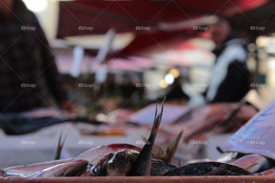 Pesci al mercato del Capo