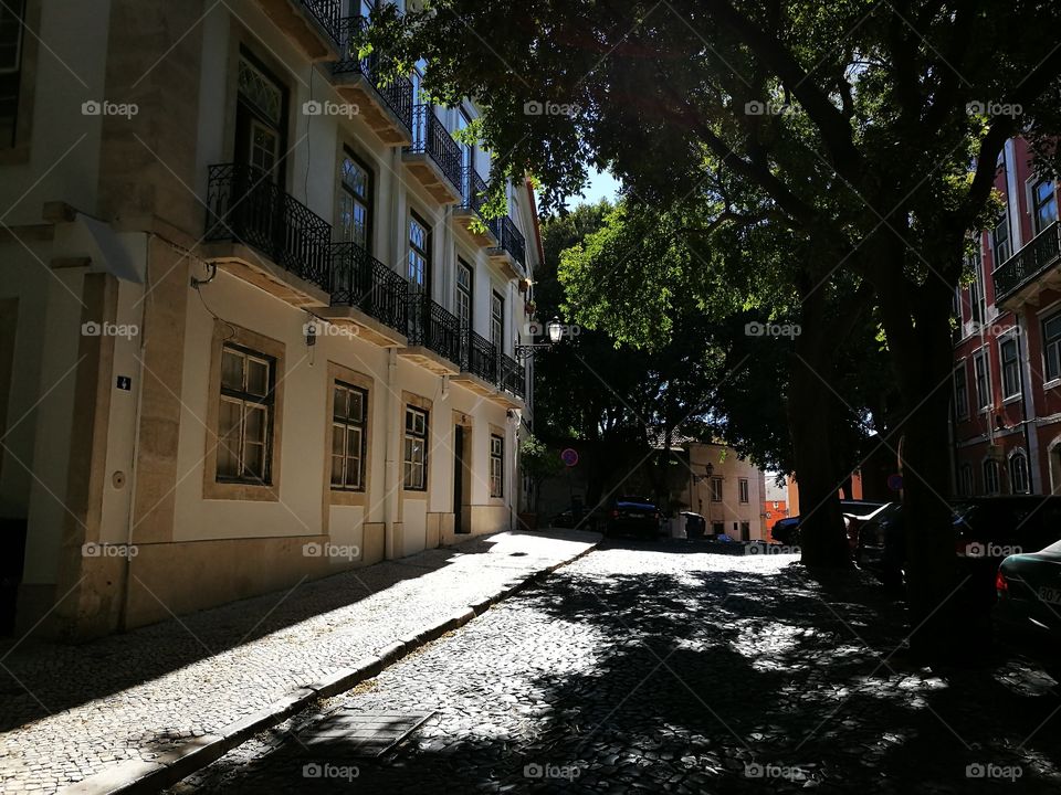 Bright sunlight and nice shadows of the trees in a street of Castelo, Lisbon.