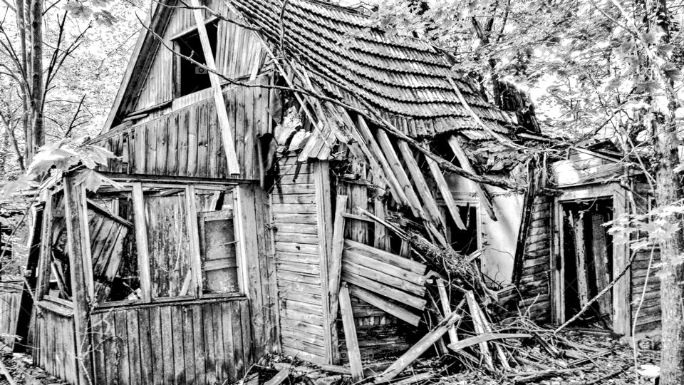 Eingestürztes Holzhaus