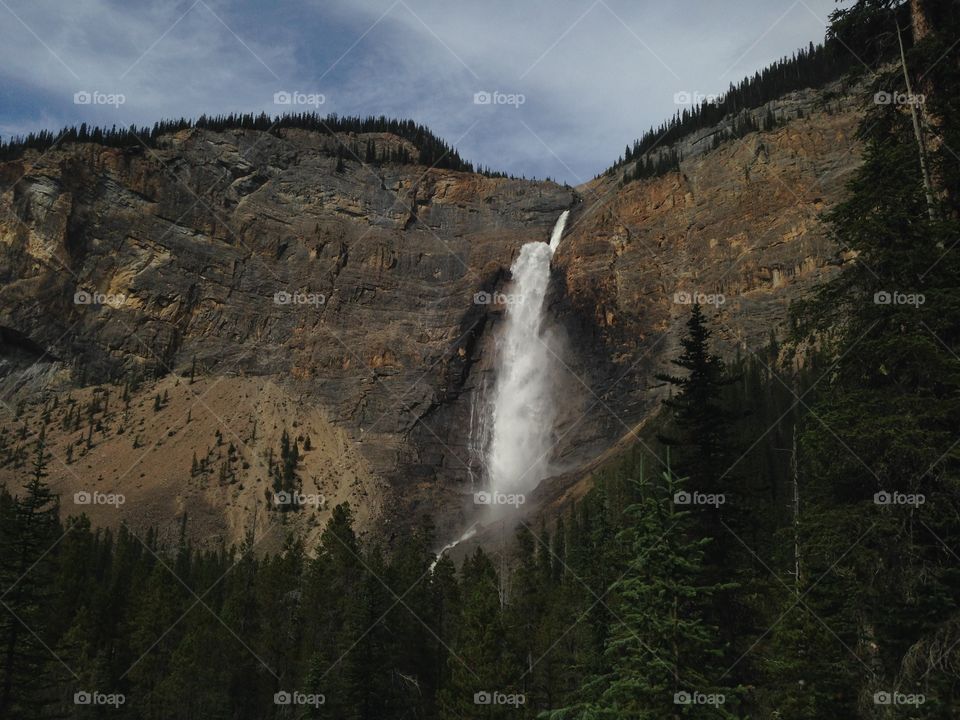 I could watch water fall for hours