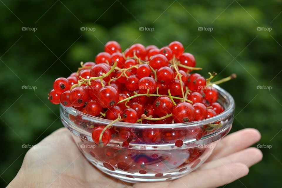 Red currants in a bowl